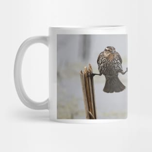 Wings...don't fail me now! - Red-Winged Blackbird Mug